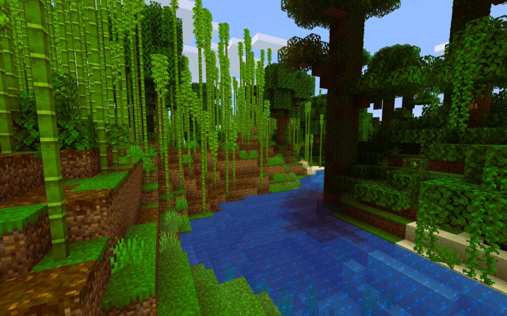 Bamboo Jungle Biome
