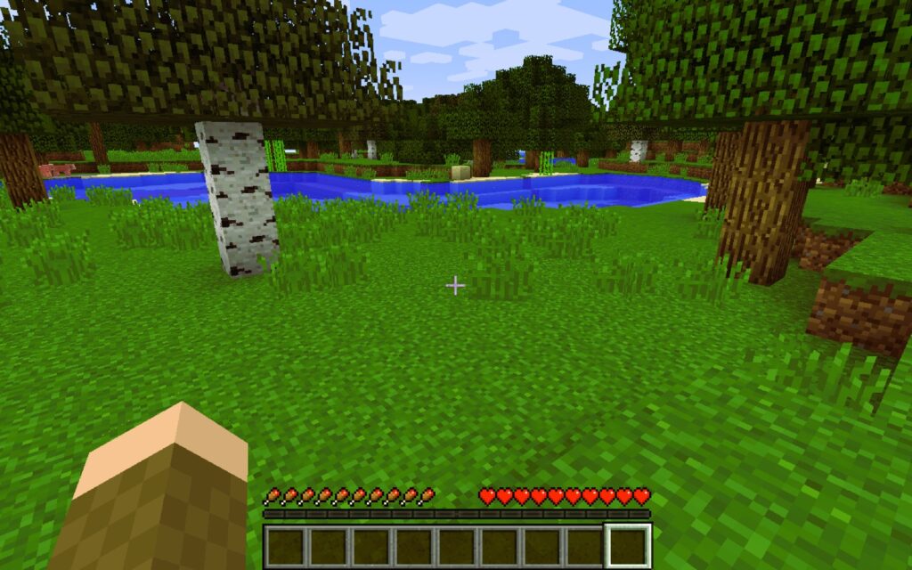 Playing on a private server minectraft