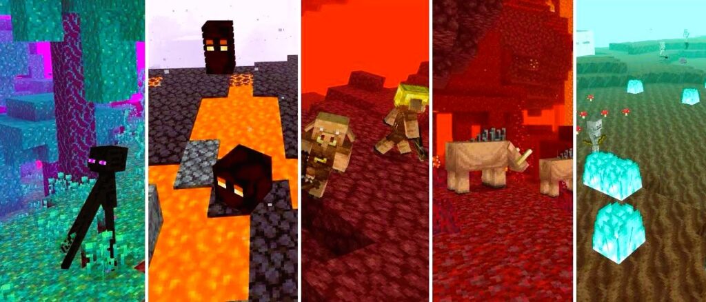 Nether Biomes